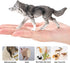 14PCS 3 4 5 6 7, Wolf Toy Animal Figurines, Realistic Plastic Zoo Safari Animal Toys for Toddlers Forest Wolf Animals