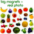 PHOTO FRUITs&Berries - Large Kitchen Magnets for Toddlers - Educational Learning Toys for Kids, Development Magnets