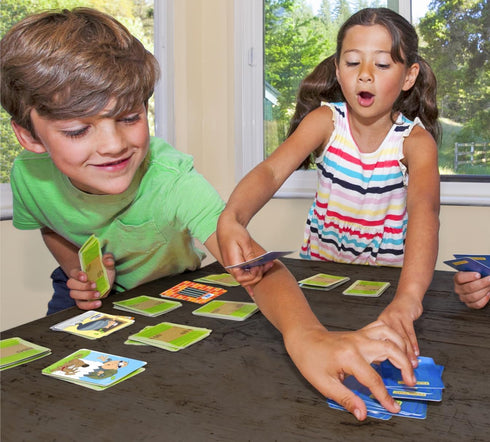 Melon Rind Clumsy Thief - Family Math Game for Kids Ages 8 and Up
