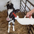 POPETPOP Calf Milk Feeder Bottle Set with Handle, Silicone Nursing Feeding Bottle for Farm Goats and Livestock