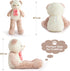 Giant Teddy Bear Stuffed Animals for Girls 4 Feet Big Teddy Bear Plushies Giant Stuffed Animal Large Gifts