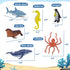 Set 12 Ocean Sea Life Toy Figures for Kids, PCS Realistic Marine Animals with Shark, Dolphin, Sea Turtle, Penguin