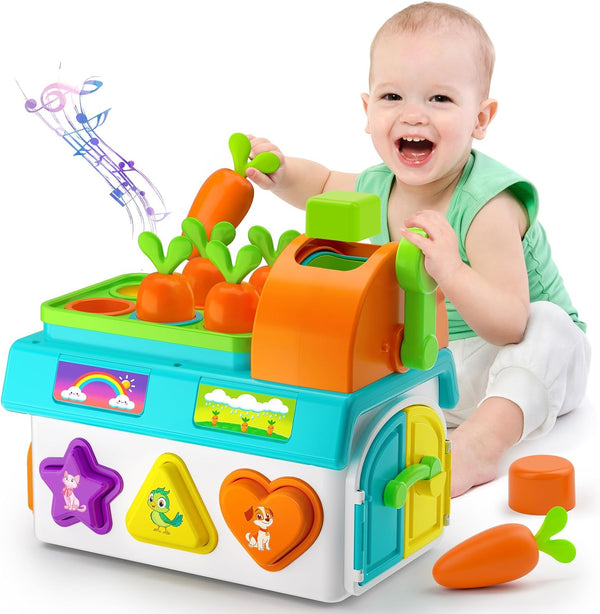 Learning Toys for 1,2 Year Old Girl Boy Gifts, Montessori Shape Sorting