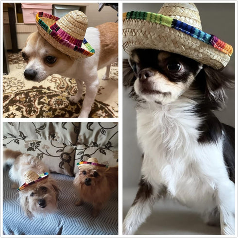 BTYMS 8 Pieces Mini Sombrero Party Hats - Fiesta Party Decorations for Table, Dolls, Dogs, 5.9 Inch