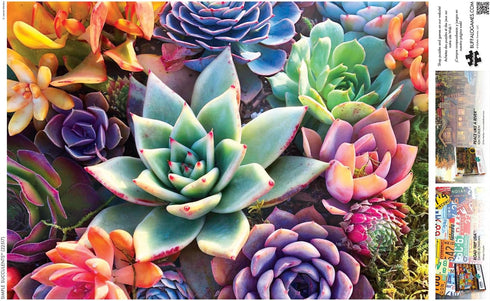 Buffalo Games - James Mertke - 300 Piece Jigsaw Puzzle for Adults - Simple Succulents - Finished Size 21.25 x 15.00