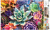 Buffalo Games - James Mertke - 300 Piece Jigsaw Puzzle for Adults - Simple Succulents - Finished Size 21.25 x 15.00