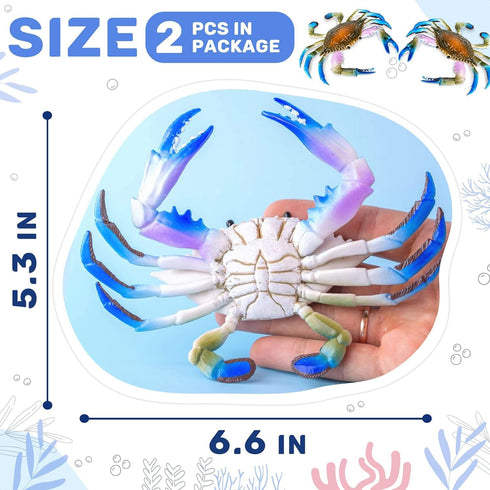 2Pcs Crab Toys for Babies, Realistic Ocean Animal Educational Model, Bath Toy for Kids