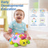 Holaxander 6-12 7 8 9 10 11 1-2 Baby Musical Ladybug Crawling Toys,Baby Toy Months with Light-up Music, Early