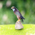 Kids(3Pcs) Gemini&Genius Falcon, Eagle, Owl Birds Animals Action Figure Toys