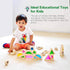 Wooden Building Blocks Set of 24pcs, Rainbow Sensory Toys for Toddlers, Preschool Stacking Toy