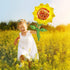 33 Inch Sunflower Foil Balloons, Sunflower Shaped Aluminum Mylar Balloons for Summer Themed Party, 6PCS