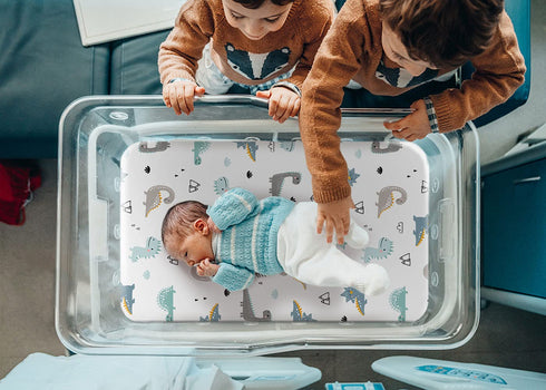 GRSSDER 2 Pack Stretchy Ultra Soft Fitted Bassinet Sheet Set, Happy Dinosaurs Bassinet Sheets for Boys and Girls,