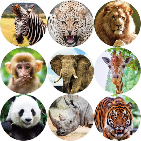 Animal Stickers for Kids, Realistic Jungle Animal Safari Zoo Labels for Toddlers Party Favors, 200Pcs Per Roll