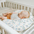 Neutral Blue Hot Air Balloons Baby Nursing Pillow Covers for Boy Girl Pastel Balloons Moon Star Clouds Nursery