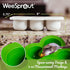 WeeSprout Silicone Freezer Tray with Clip on Lid - Perfect Food Storage Container for Homemade Baby Food, Bright Blue