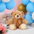 Liliful Plush Bear 12 Inch Plush Stuffed Animal Insert a Recordable Sound Module Brown Bear Soft Doll Fabric Animal Toy for Party Gift Decoration(Vivid Style)