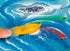 FoxMind Bermuda Pirates Magnetic Board Game for Kids, Captivating Pirate Adventure