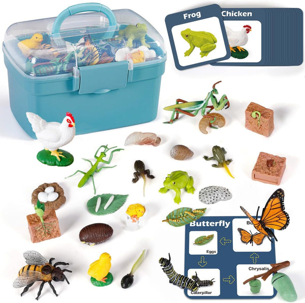 Life Cycle Learning Toys for Kids - Life Science Education Kits with 25 Pieces Animal Figurines: Butterfly, Frog,