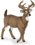 Papo White-Tailed Deer Figure - Realistic Forest Animal Toy for Kids Age 3+ - 10.4 x 4 x 10.9 cm