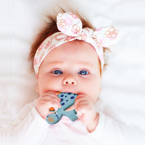 Set 0-6-12-18 Dinosaur Infant Toys Crinkle Books Touch and Feel with Dino Teether and Paci Clip Babies Months
