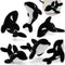 Tezituor 6 Pcs Orca Stuffed Animals, 10 Soft Orca Whale Plush Toy