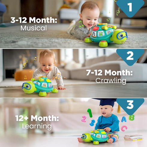 6-12 6 7 8 9 10 3-6-9-12 Educational Baby Toys Month, Musical Crawling Turtle, Infant Toys for Month Old Boy Girl