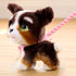 furReal Walk-A-Lots Bernedoodle, 8-inch Interactive Plush Puppy with Sounds, Kids Toy for Ages 4 and Up by Just Play