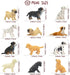 Toymany 12PCS Mini Dog Figurines Playset, Realistic Detailed Plastic Puppy Figures, Hand Painted Tiny Dogs