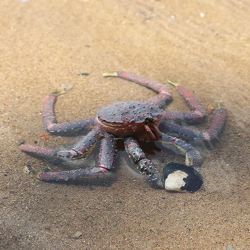 Set, Gemini&Genius King Crab and Spider Crab Toys Marine Animals Toys Sea Animal Action Figures Gift Great
