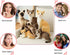 Siamese Cat Stuffed Animal, 12 inches, Shorthair Realistic Plush Cat Toys, Gift for Kids (A)