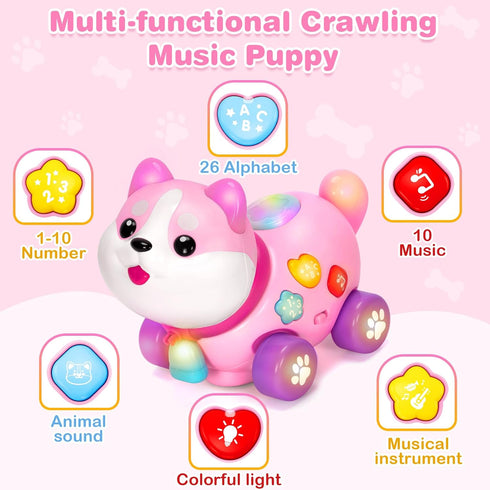 1 6-12-18 1st Toys for Year Old Girl Gifts, Baby Toys Months, Bilingual Educational Learning Toddler Toys, Puppy