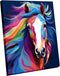Wooden Framed Paint by Numbers DIY Acrylic Painting Kit for Kids &