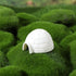 Toyvian 6pcs Mini Igloo Toys, Lifelike Ice House Models for Boys Girls Kids Dollhouse Decoration