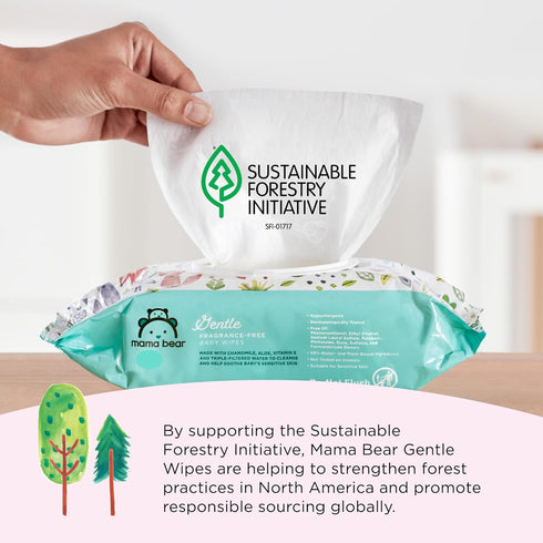800 Count (8 Packs 100) Amazon Brand - Mama Bear Gentle Formulated without Fragrance Baby Wipes, Hypoallergenic