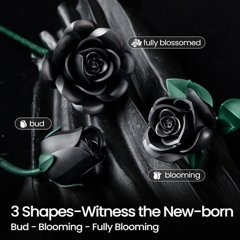 iATOM Set 3Pack, Black Roses Flower Building - Gift for Mother Day Mom/Her/Girlfriend/Wife/Couple, Gothic Emo Vintage