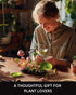 Set (506 NF10334) Nifeliz Lotus Flower Building for Adults, Botanical Decoration for Table or Office, A Nature-Inspired