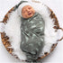 Baby Boy Receiving Blanket Swaddle Blanket Newborn Wrap Sack Headband Set -Dinosaur