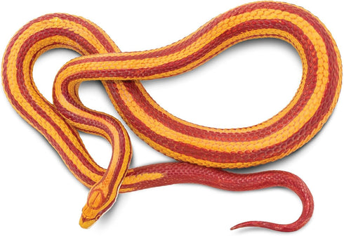 Safari Ltd. Corn Snake Figurine, Lifelike 5.25" Model Figure, Educational Toy for Kids Ages 3+
