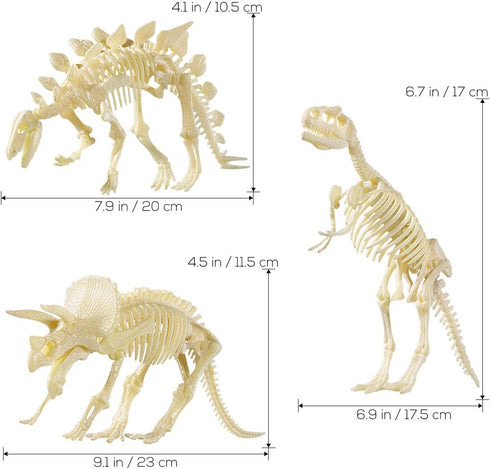 NUOLUX 3Pcs 4D Dinosaur Fossil Skeleton Toys