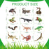 12PCS Realistic Reptile Animal Figurine Set, Cold Blooded Amphibians Wild Animal Figures Toy for Kids 3+