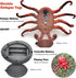Tipmant Realistic RC Octopus Animal Remote Control Vehicle Car Touch Sensor Prank Toy Teasing Cats Dogs Kids Birthday