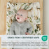 2 Pack Pobibaby - Premium Changing Pad Cover - Ultra-Soft Cotton Blend, Stylish Woodland Pattern, Safe and Snug