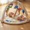 Baby Play Gym & Activity Mat with Light-up Musical Arch, Washable Tummy