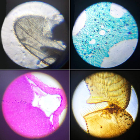 Science Kits for Kids Beginner Microscope with LED, 100X 400X and 1200X, Include Sample Prepared Slides