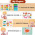 Freebear Montessori Busy Book for Kids, Human Body Anatomy Book for Toddlers, Preschool Learning Activities, Autism Toys