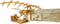 PATHFINDERS Leonardo Da Vinci Ornithopter STEM Toy Science Kit - 3D Puzzle Gift for Kids 9+