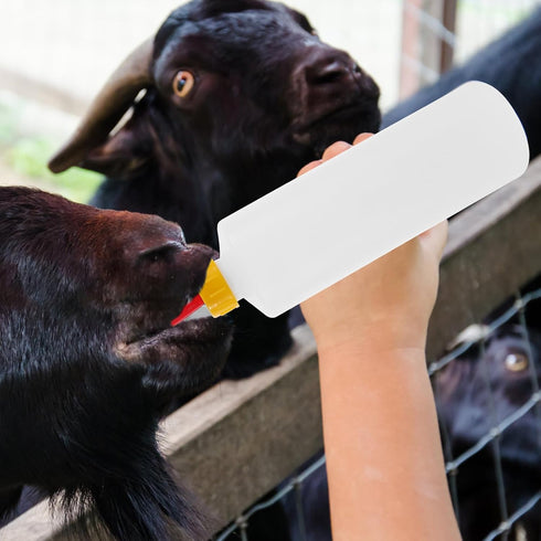 DOITOOL 5 Pcs 400ml Goat Bottles Set, Puppy Feeding Bottles for Baby Goats