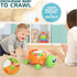 6 12 12-18 7 8 9 10 11 1-2 Baby Toys to Months, Musical Turtle Crawling Baby Toys for Month, Early Learning Educational