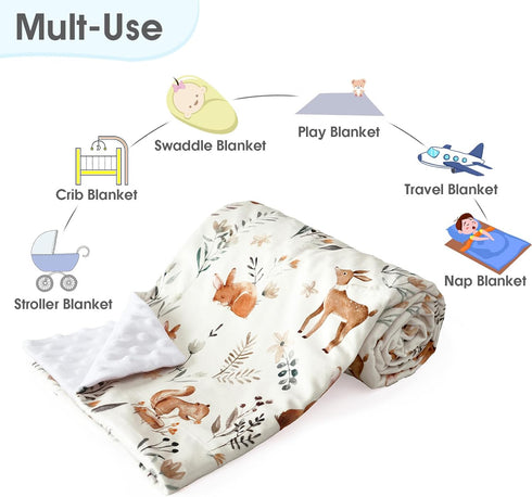 PHF Minky Baby Blanket, 40x50 Inches Reversible Crib Receiving Blanket for Girls, Soft Toddler Blanket with Double