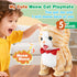 HCdoujoy Set Yellow Walking Cat for Girls Toy Talking Singing Animated Robot Kitty Interactive Plush for Cat for Kids
